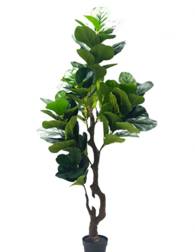Изкуствено декоративно дърво „Фидъл Лийф“ – 180 см
